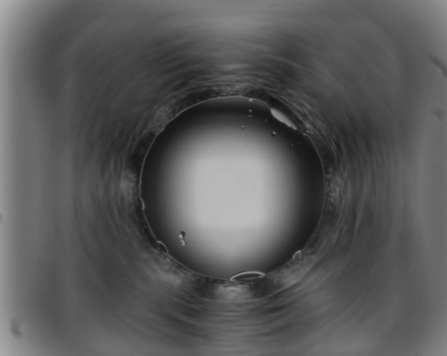 X0000096380283200801311306
