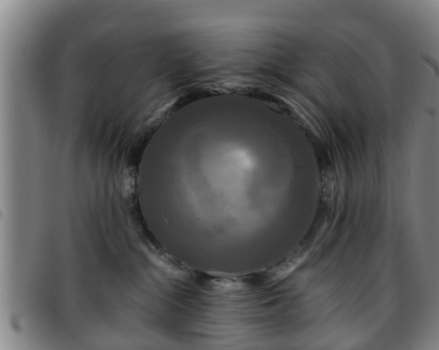 X0000096380284200801311306