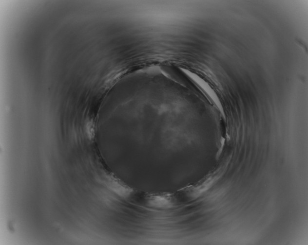 X0000096380285200801311306