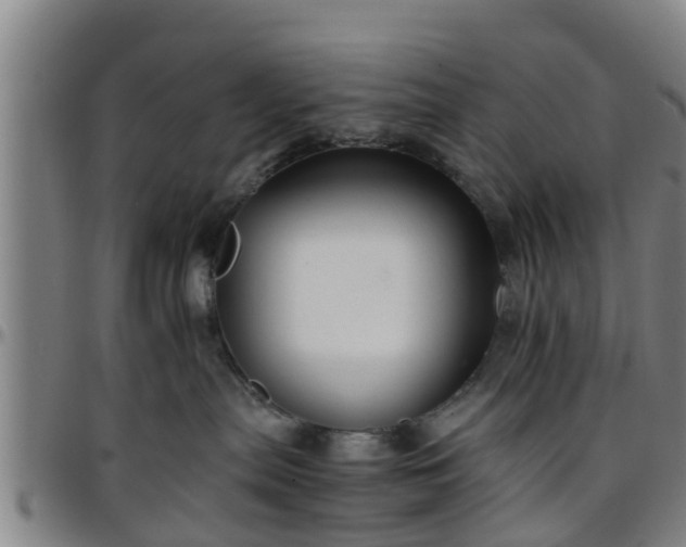 X0000096380287200801311306