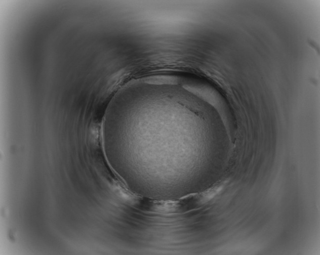 X0000096380288200801311306