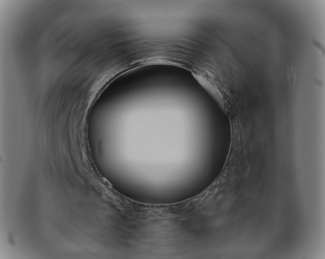 X0000096380289200801311305