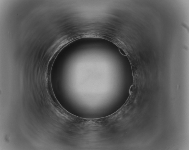 X0000096380290200801311305