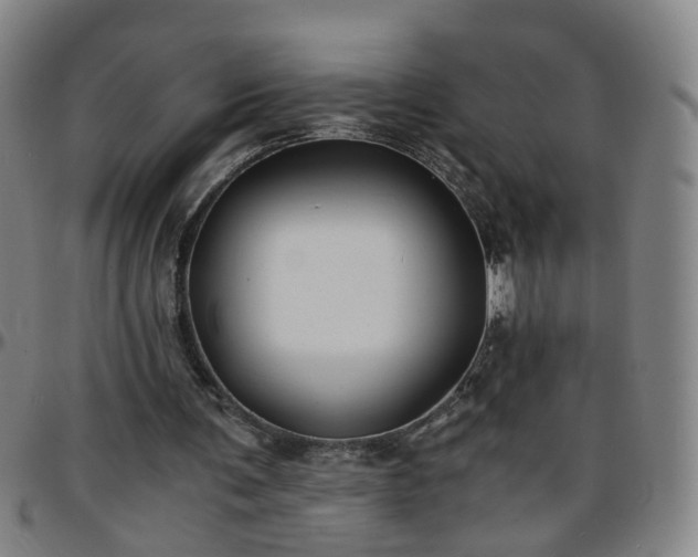 X0000096380291200801311305