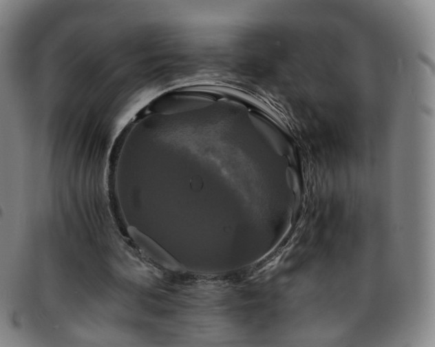 X0000096380292200801311305