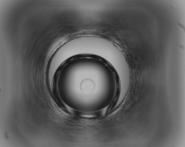 X0000096380293200801311305