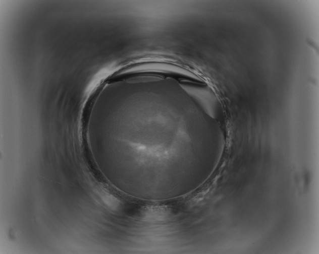 X0000096380296200801311305