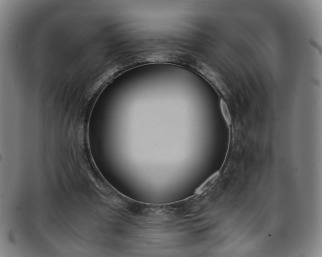 X0000096380297200801311305