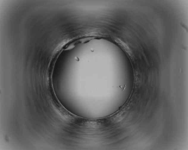 X0000096380298200801311305