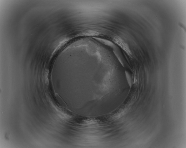 X0000096380300200801311305