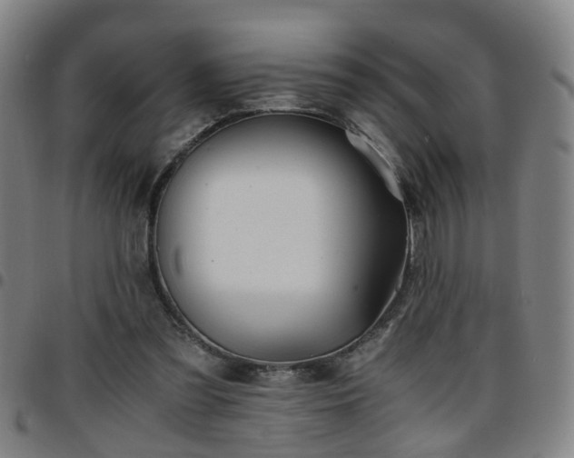X0000096380301200801311305