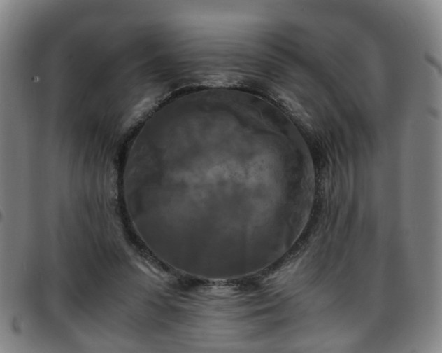 X0000096380303200801311305