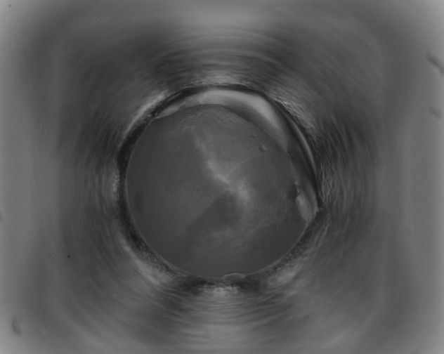 X0000096380304200801311305