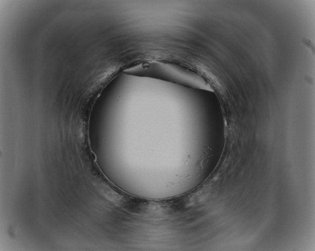 X0000096380305200801311305