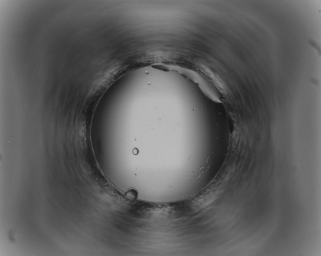 X0000096380306200801311305