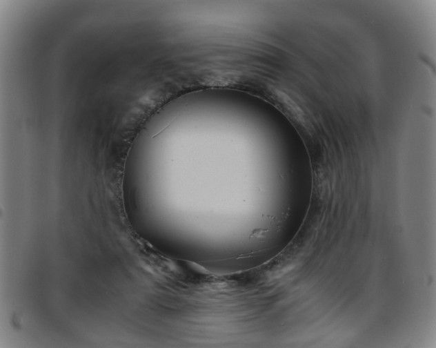 X0000096380307200801311305