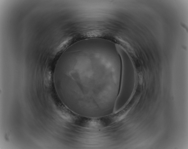 X0000096380308200801311305
