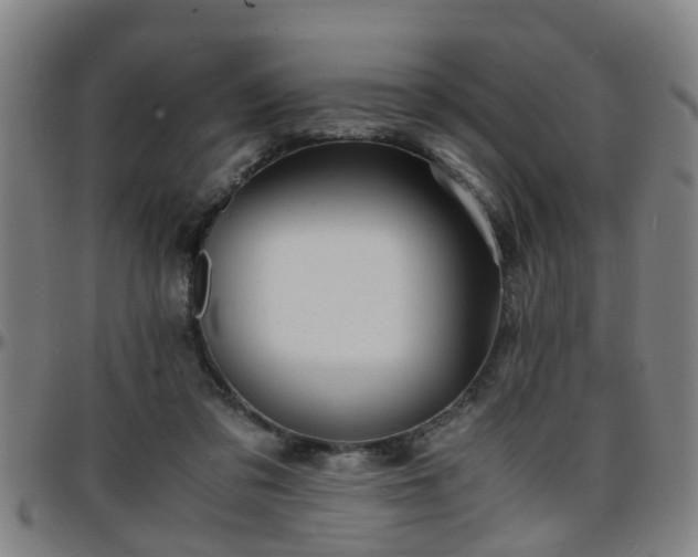 X0000096380309200801311305