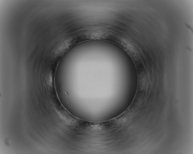 X0000096380310200801311305