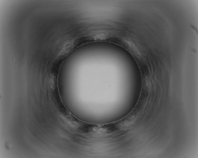 X0000096380311200801311305
