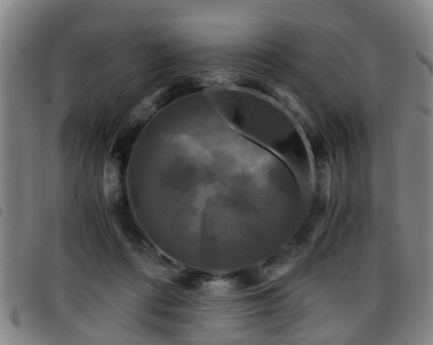 X0000096380312200801311305