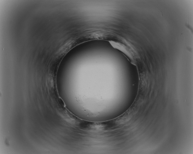 X0000096380313200801311305