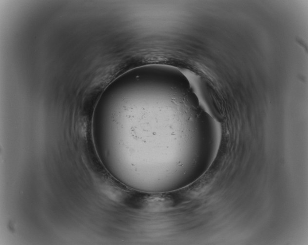 X0000096380315200801311305