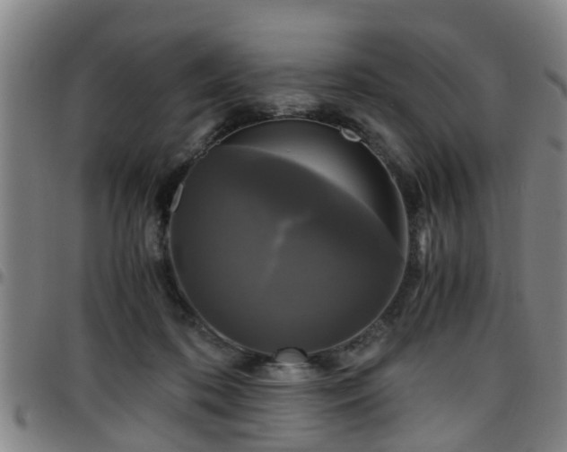 X0000096380316200801311305