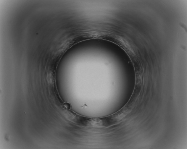 X0000096380317200801311305