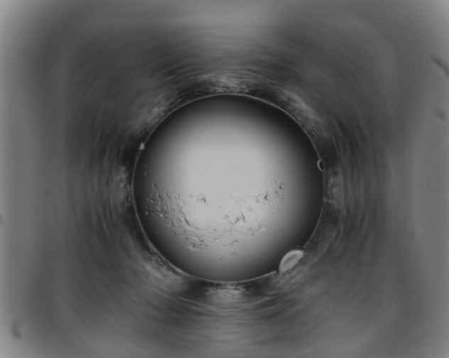X0000096380318200801311305