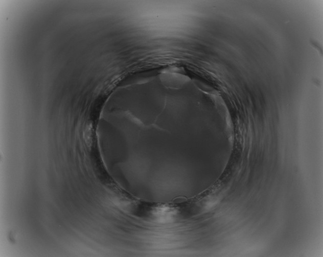 X0000096380319200801311305