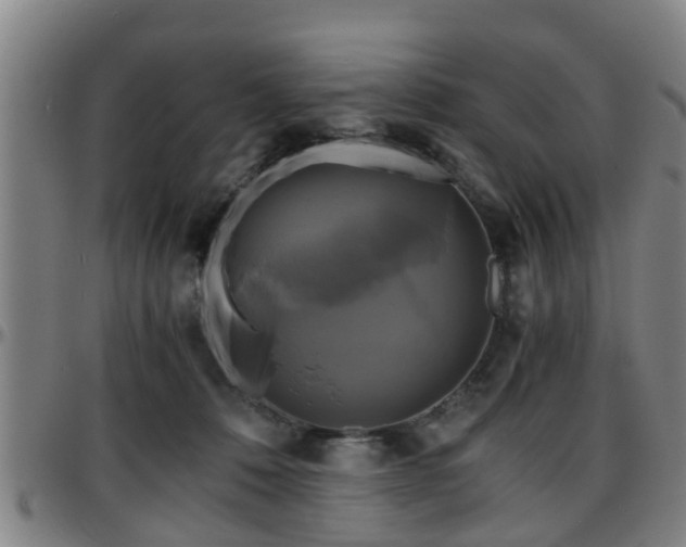 X0000096380320200801311305