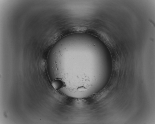 X0000096380321200801311305