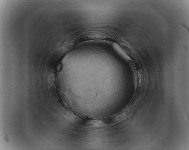 X0000096380322200801311305