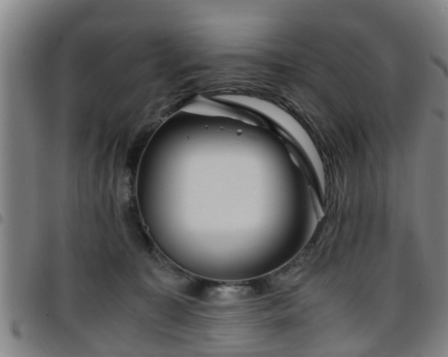 X0000096380323200801311305