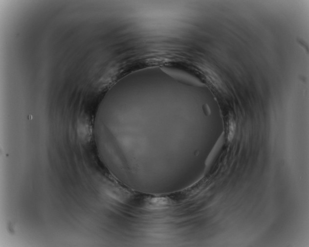 X0000096380324200801311305