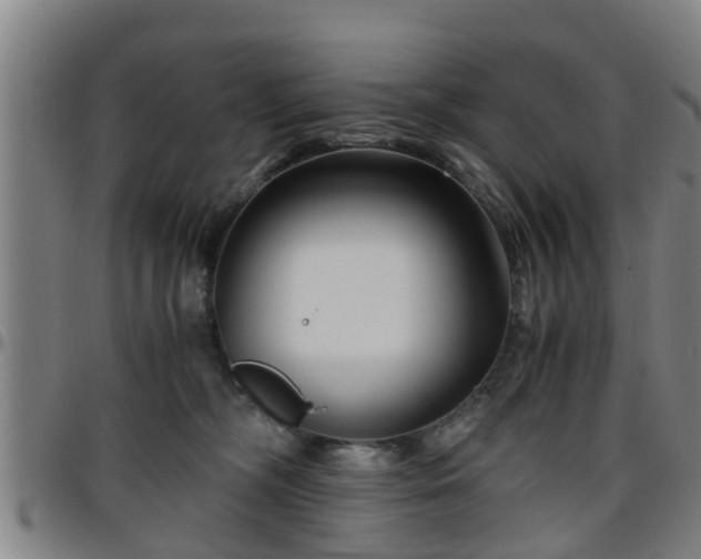 X0000096380326200801311305