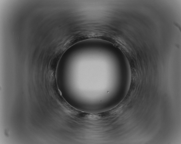 X0000096380327200801311305