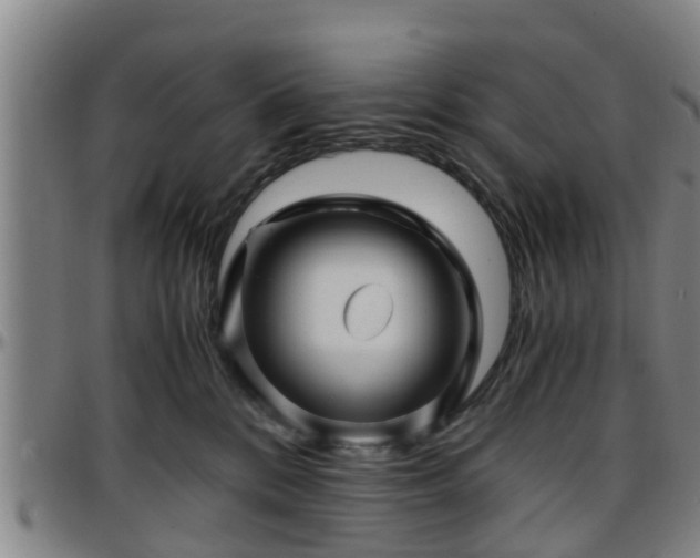 X0000096380328200801311305