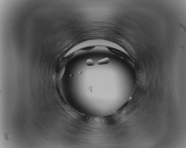 X0000096380329200801311305