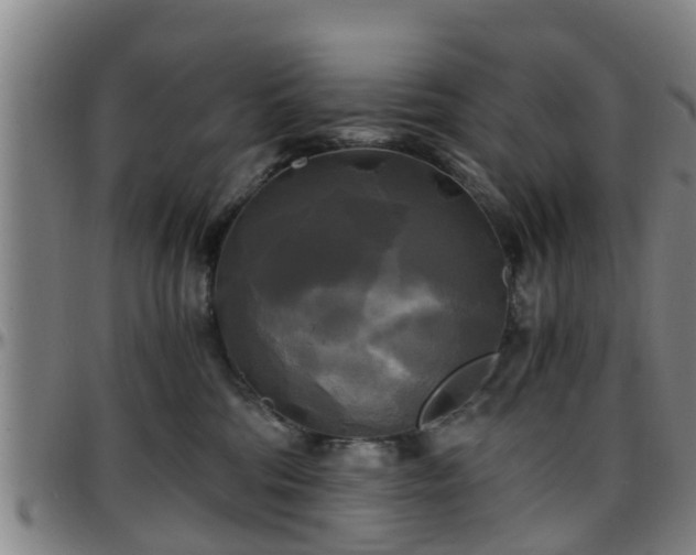 X0000096380330200801311305