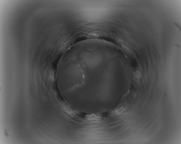 X0000096380331200801311305
