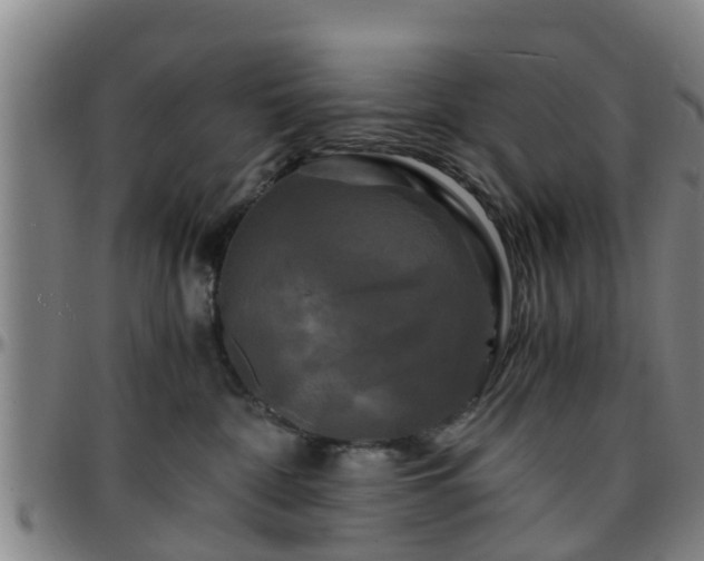 X0000096380332200801311305