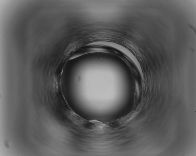 X0000096380333200801311305