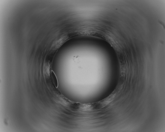 X0000096380334200801311304