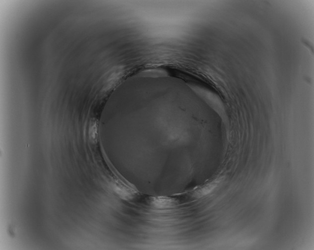 X0000096380336200801311304