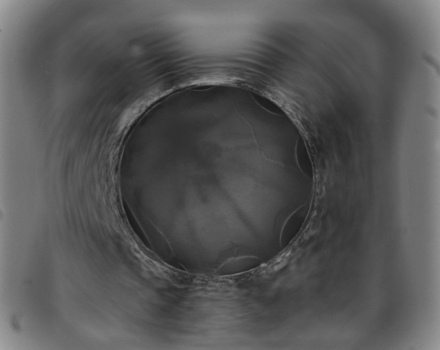 X0000096380337200801311304