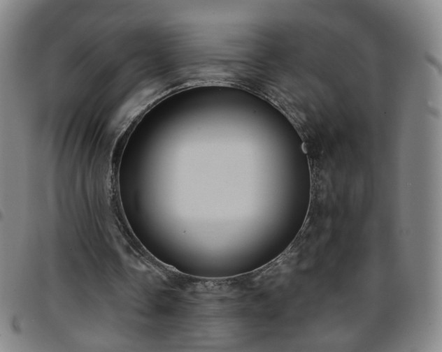 X0000096380338200801311304