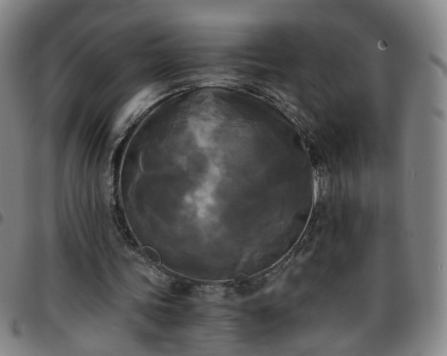 X0000096380339200801311304