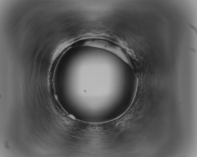 X0000096380340200801311304